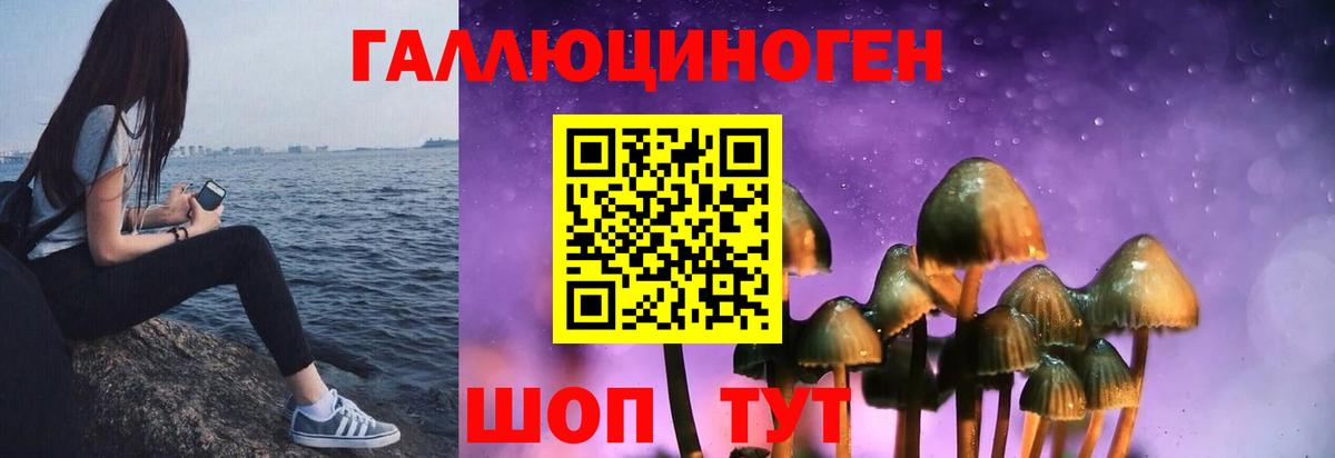 Галлюциногенные грибы Psilocybine cubensis  Вход с VPN  дарнет шоп  Псков 