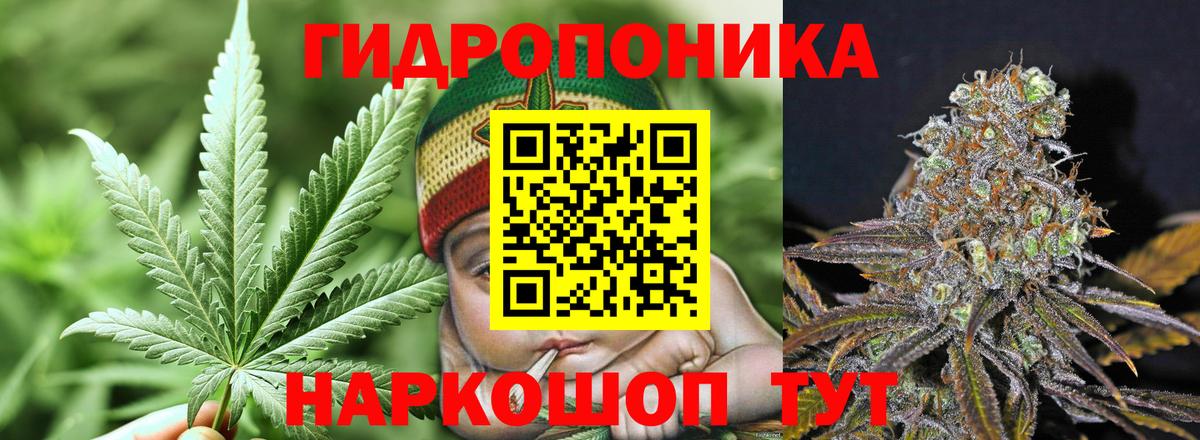 Конопля AK-47 Псков